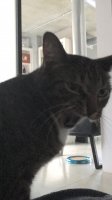 image.jpeg