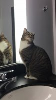 IMG_7431.jpeg