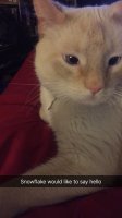 image.jpeg