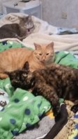 20160311_175554.jpg