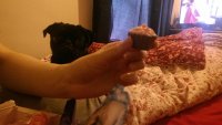 Julian wants the cupcake.jpg