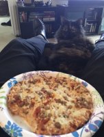Oy Pizza.jpg