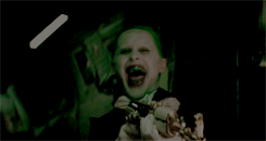 image.gif