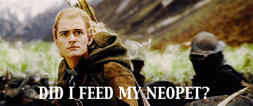 image.gif