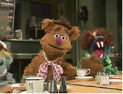 image.gif
