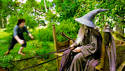 image.gif