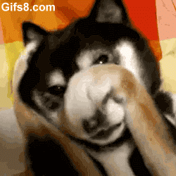 image.gif