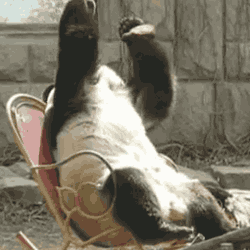 image.gif