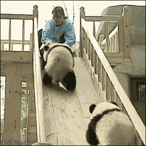image.gif