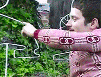 IMG_2993.gif