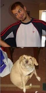 images (1).jpeg