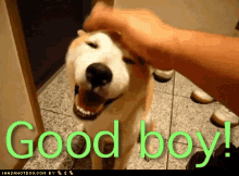 upload_2024-9-21_14-38-2.gif