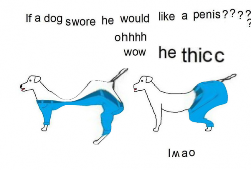 IMG_1337.PNG