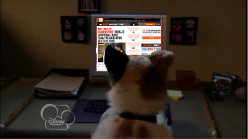 dog.png