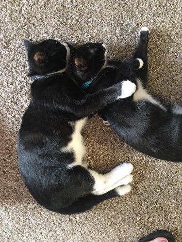rae and marley.jpg