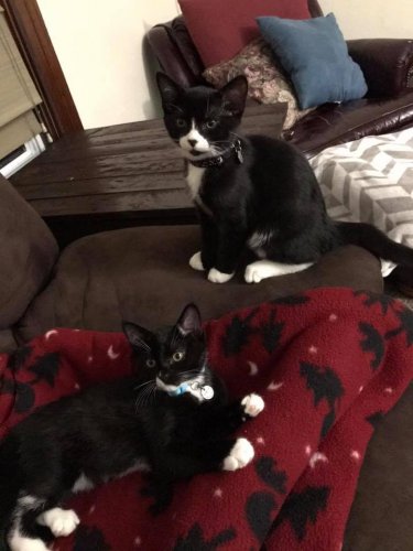 rae and marley 2.jpg