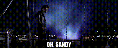 IMG_1237.gif