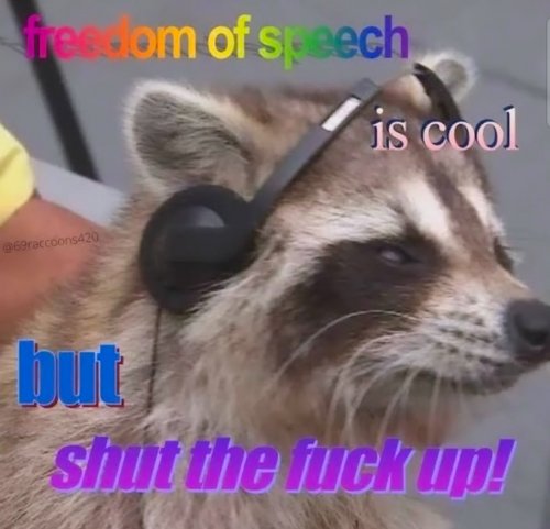 IMG_3125.jpeg