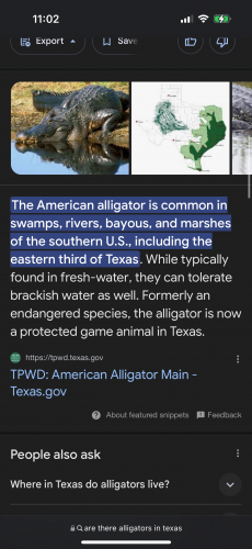 IMG_4798.png