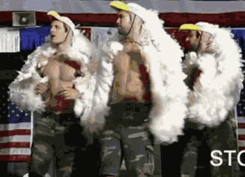 upload_2025-4-29_10-12-36.gif