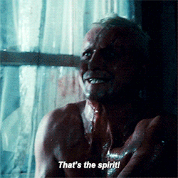 tumblr_0c62dbb56445746039b4d28d60e07f2d_ea8a1193_250.gif
