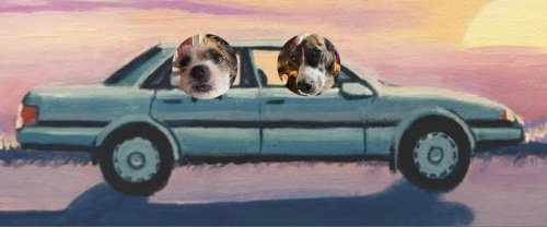 IMG_0921.jpeg