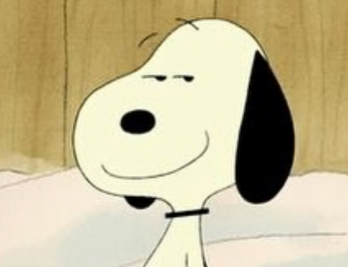 IMG_1325.png