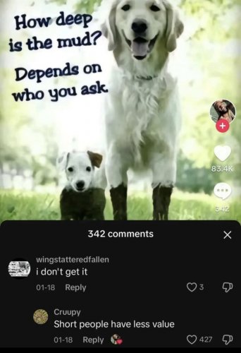 IMG_4640.jpeg