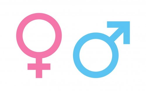 male-and-female-gender-symbol-icon-illustration-free-vector.jpg