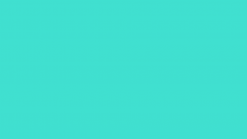 IMG_9889.png