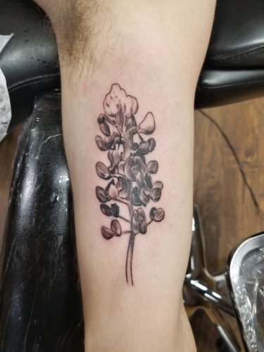 20180124_203739.jpg