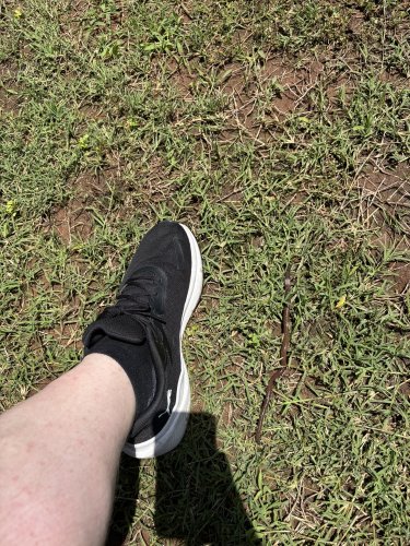 IMG_3200.jpeg