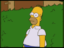 IMG_8438.gif