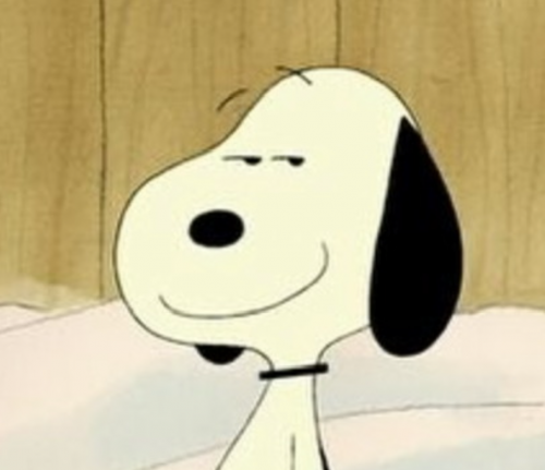 IMG_2360.png