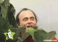 upload_2025-7-1_14-15-49.gif