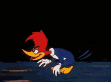 woody-woodpecker.gif