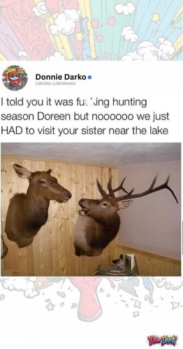 FB_IMG_1752686557125.jpg