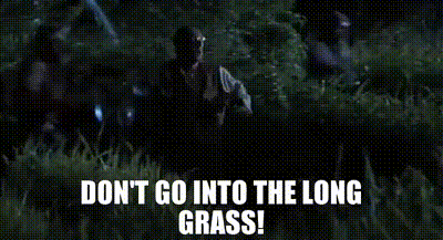 upload_2025-7-23_18-45-4.gif