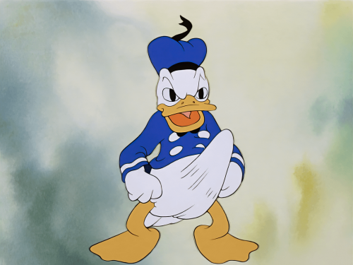 IMG_2598.png
