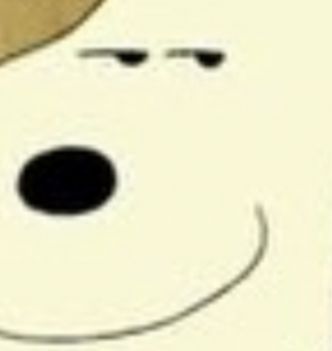 upload_2025-8-4_8-41-39.png