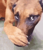 IMG_7703.gif