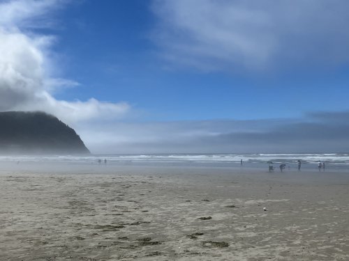 IMG_9493.jpeg