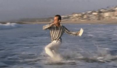 signocean.gif