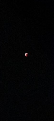 20250908_033818.jpg