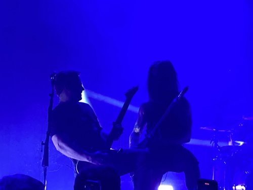 IMG_0295.jpeg