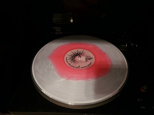 20251011_210406.jpg