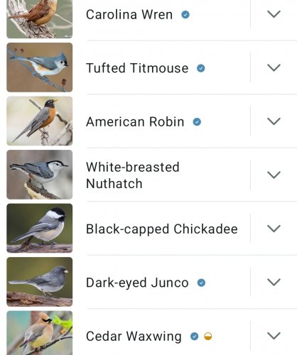 Screenshot_20251027_151441_Merlin Bird ID.jpg