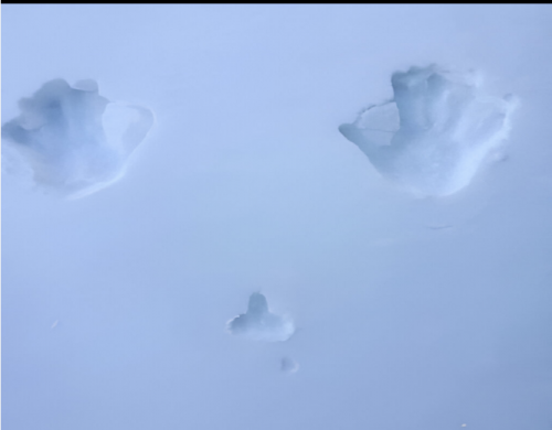 Screenshot 2025-12-13 at 11.02.39 AM.png