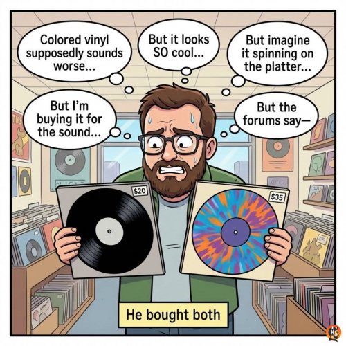 vinyl dilemma.jpg