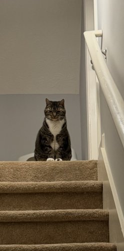 IMG_0227.jpeg